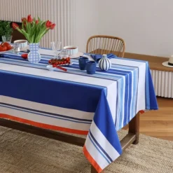 Maison Jean-Vier Nappe enduite Bleu