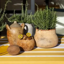 Maison Jean-Vier Nappe enduite Jaune