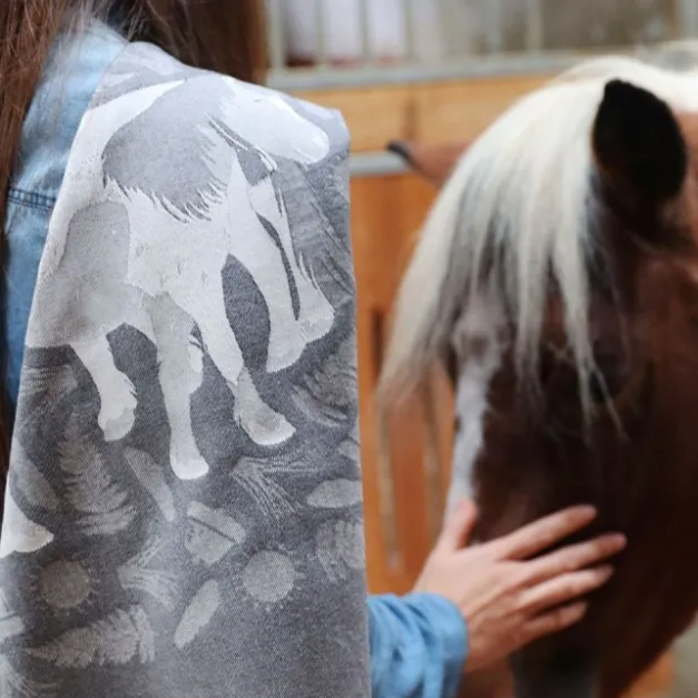 Maison Jean-Vier Torchon gris en Jacquard à motifs pottok